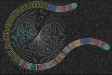 Microbiome visualisation